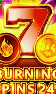 Burning Spins 243