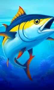 Big Boat Big Catch